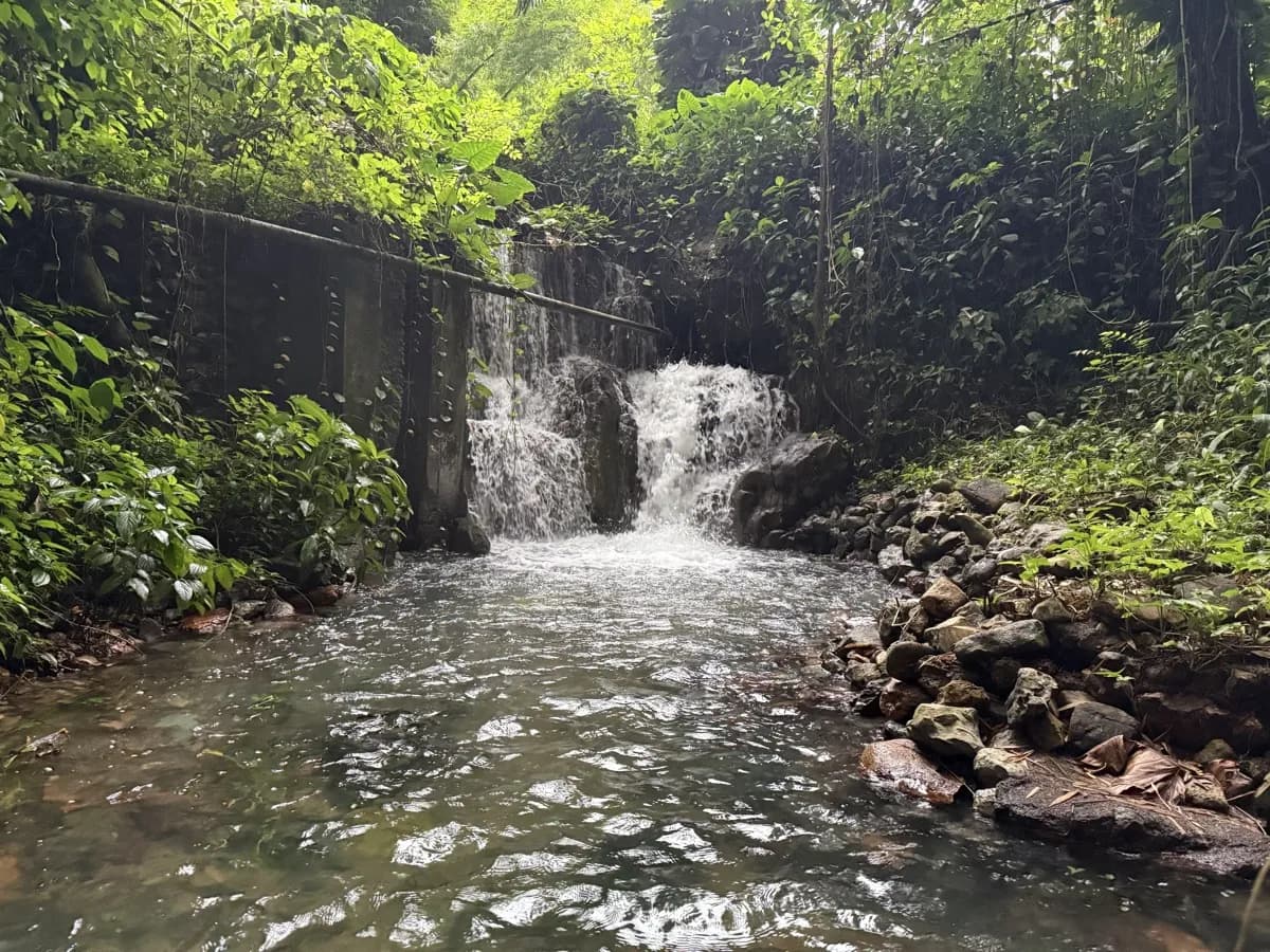 Stellar Springs Waterfall